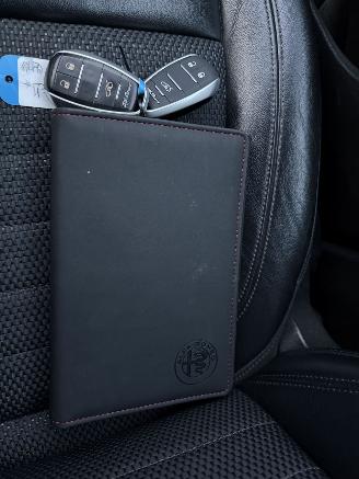 Alfa Romeo Stelvio 2.2D Super 179Pk Automaat picture 13