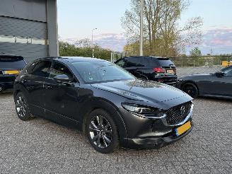 Mazda CX-30 2.0 e-SkyActiv-X M Hybrid Automaat Luxery NAP Nederlandse Auto Head-Up Bose picture 2