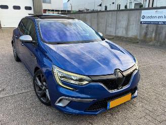 Renault Mégane 1.6 Tce Gt 205Pk Automaat Pano Bose picture 23