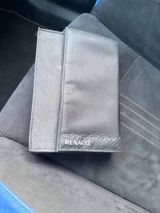 Renault Mégane 1.6 Tce Gt 205Pk Automaat Pano Bose picture 22