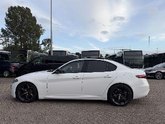 Alfa Romeo Giulia 2.2D Automaat Super Pano picture 3