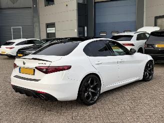 Alfa Romeo Giulia 2.2D Automaat Super Pano picture 6