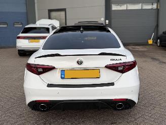 Alfa Romeo Giulia 2.2D Automaat Super Pano picture 5