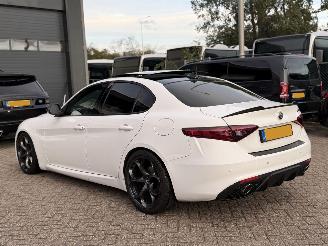 Alfa Romeo Giulia 2.2D Automaat Super Pano picture 4
