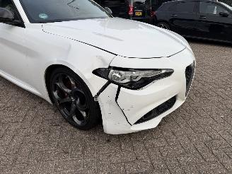 Alfa Romeo Giulia 2.2D Automaat Super Pano picture 17