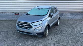 Ford EcoSport EcoSport (JK8), SUV, 2013 1.0 EcoBoost 12V 125 picture 1