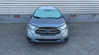 Ford EcoSport EcoSport (JK8), SUV, 2013 1.0 EcoBoost 12V 125 picture 3