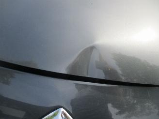 Citroën C3 picasso 1.4 VTI  EXCLUSIVE CLIMA PANO picture 5