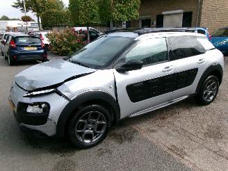 Auto incidentate Citroën C4 cactus PURETECH BUSINESS NAVI CLIMA PANO 2017/6