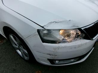 Skoda Rapid 1.2 GREENTECH ELEGANCE BUSINESSLINE CLIMA picture 5