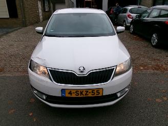 Skoda Rapid 1.2 GREENTECH ELEGANCE BUSINESSLINE CLIMA picture 3