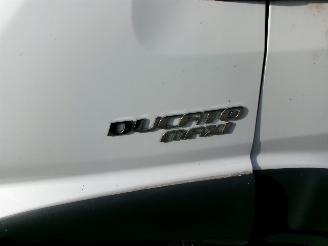 Fiat Ducato 35H 3.0 MULTIJET XLHI MACI MEUBELBAK picture 13