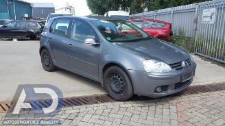 Volkswagen Golf Golf V (1K1), Hatchback, 2003 / 2010 1.9 TDI picture 3