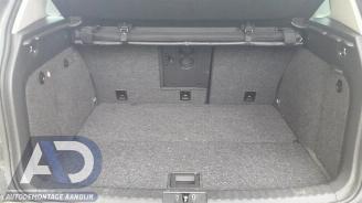 Volkswagen Tiguan Tiguan (5N1/2), SUV, 2007 / 2018 2.0 TDI 16V 4Motion picture 18