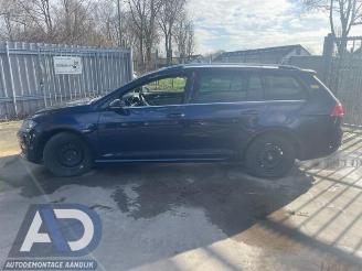 Volkswagen Golf Golf VII Variant (AUVV), Combi, 2013 / 2021 1.4 TSI 16V picture 8