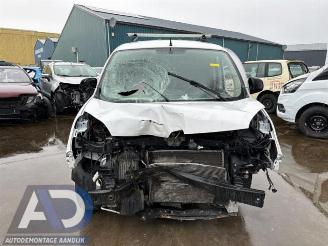 Renault Kangoo Kangoo Express (FW), Van, 2008 1.5 dCi 75 FAP picture 2
