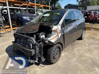 Vrakbiler auto Kia Picanto Picanto (TA), Hatchback, 2011 / 2017 1.0 12V 2012/5