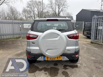 Ford EcoSport EcoSport (JK8), SUV, 2013 1.0 EcoBoost 12V 125 picture 6