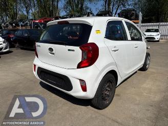 Uttjänta bilar auto Kia Picanto Picanto (JA), Hatchback, 2017 1.0 12V 2017/8