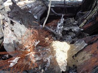 BMW X1 SDRIVE18D picture 10