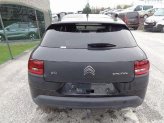 Citroën C4 cactus 1.6 HDI  BHY picture 16
