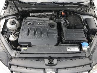 Volkswagen Golf 1.6 TDI picture 11