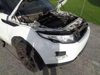 Land Rover Range Rover Evoque 2.2 D  150CV picture 9