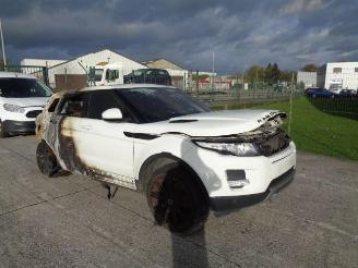 Land Rover Range Rover Evoque 2.2 D  150CV picture 2