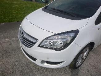 Opel Meriva 1.4 TURBO B14NEL picture 12