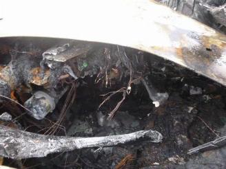 Fiat Tipo 1.5 HYBRIDE picture 9