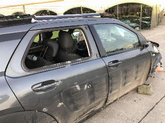 Citroën C4 cactus 1.2 HMZ picture 16