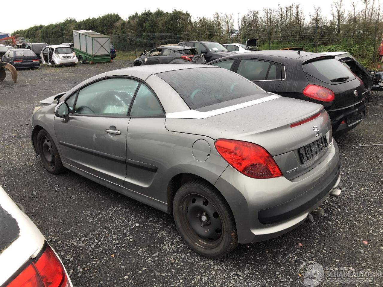 Peugeot 207 1.6 I  5FW