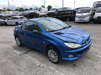 Peugeot 206+ 1.6 picture 2