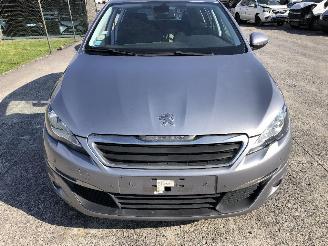 Peugeot 308 1.6 HDI picture 8