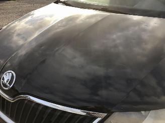 Skoda Rapid 1.6 TDI picture 17