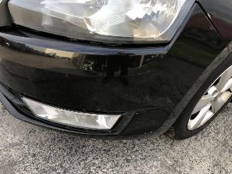 Skoda Rapid 1.6 TDI picture 21