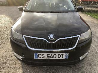 Skoda Rapid 1.6 TDI picture 18