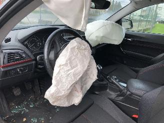 BMW 1-serie SPORT LINE N47D16A picture 5