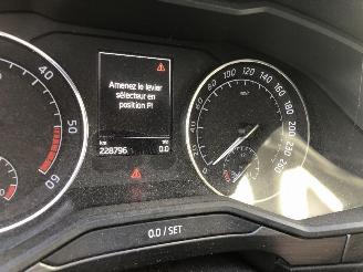 Skoda Superb COMBI  2.0 TDI  DSG picture 29