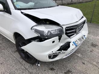 Renault Koleos 2.0 DCI  BOSE picture 6