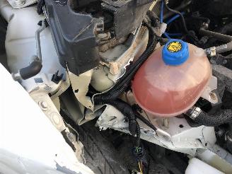 Fiat Panda 1.0 HYBRIDE picture 21