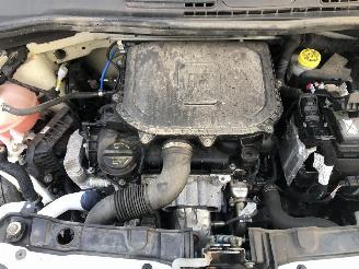 Fiat Panda CITY CROSS picture 19