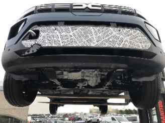 Dacia Spring EXTREME picture 16