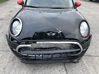 Mini One 1.5 D picture 9