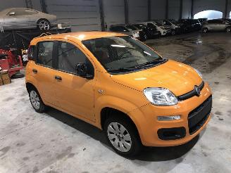 skadebil auto Fiat Panda 1.2 POP 2019/2