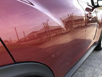 Nissan Juke 1.6 picture 12