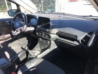 Ford EcoSport 1.0 ECOBOOST picture 25