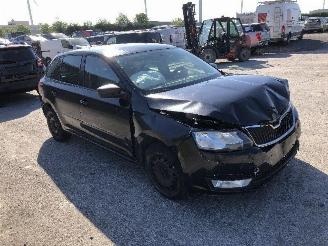 Skoda Rapid 1.6 tdi picture 3