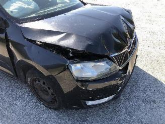 Skoda Rapid 1.6 tdi picture 9