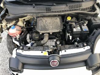 Fiat Panda 1.0 CITY CROSS picture 18